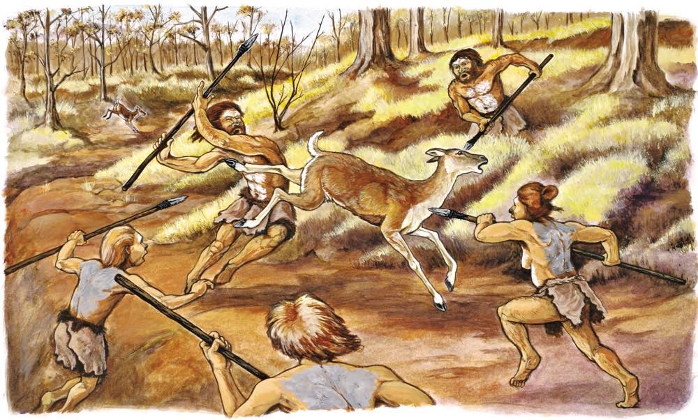 Illustration of five Neandertals, armed with stone-tipped spears, ambushing a doe, who is kicking in defense.